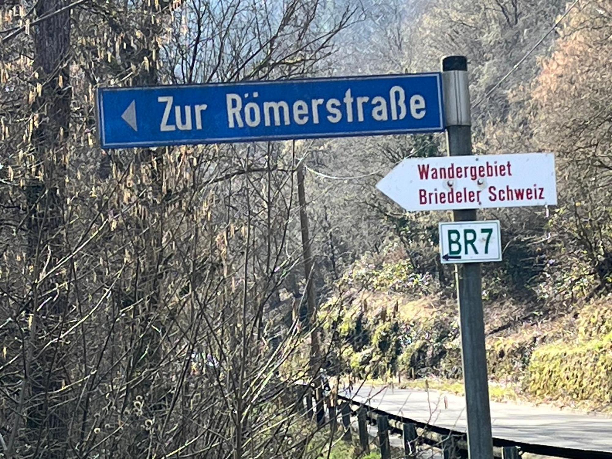 Ferienwohnung Meijer Briedel Zewnętrze zdjęcie